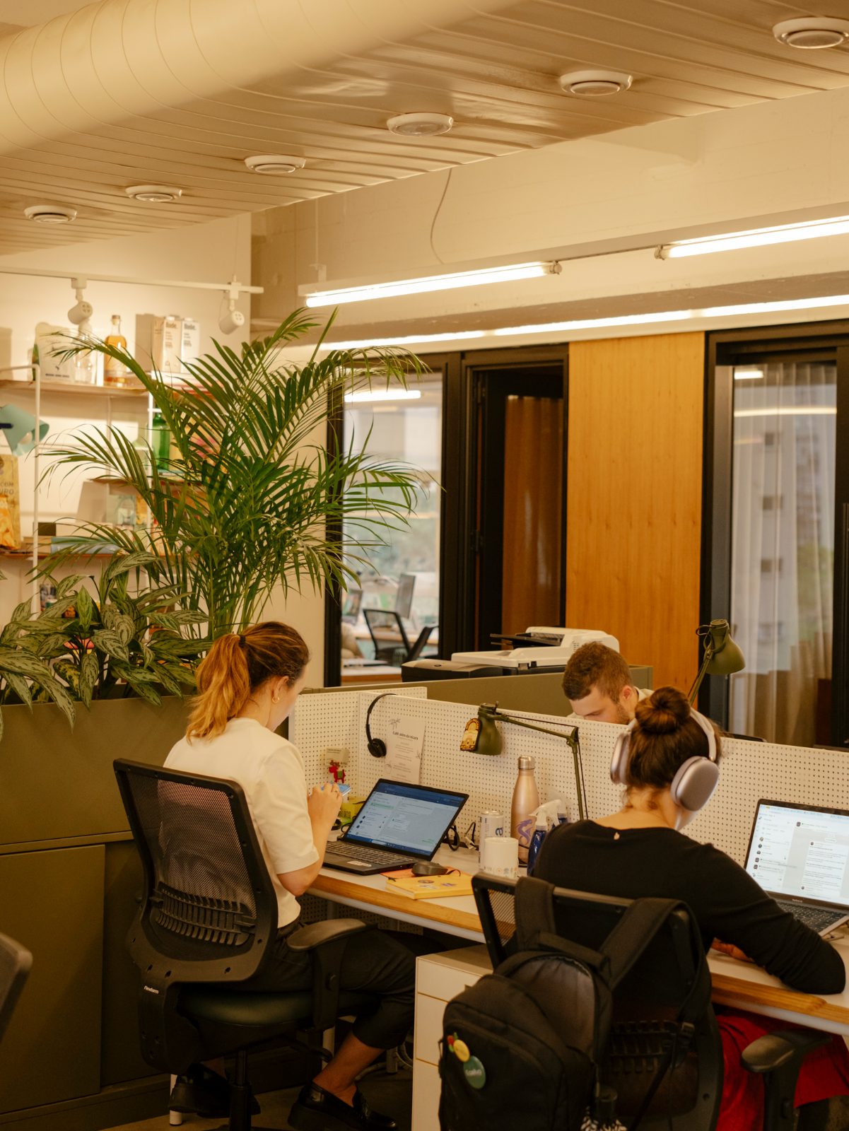 Pessoas trabalhando nas mesas do coworking do Bioma